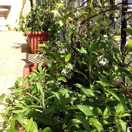 Gæstehus Sulla Via Delle Cinque Terre